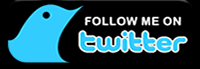 Twitter_lg4
